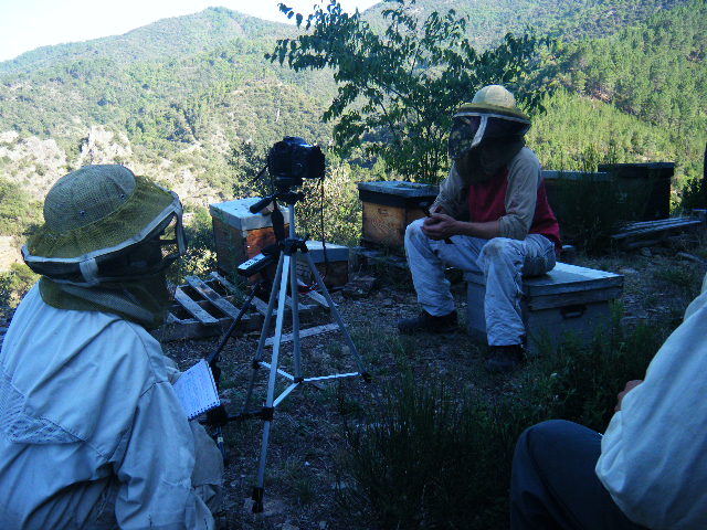 Interview et reportage d'un apiculteur Bio et nature et progrès en Cévennes avec la compagnie Tree feet, août 2011 Interview et reportage d'un apiculteur Bio et nature et progrès en Cévennes avec la compagnie Tree feet, août 2011