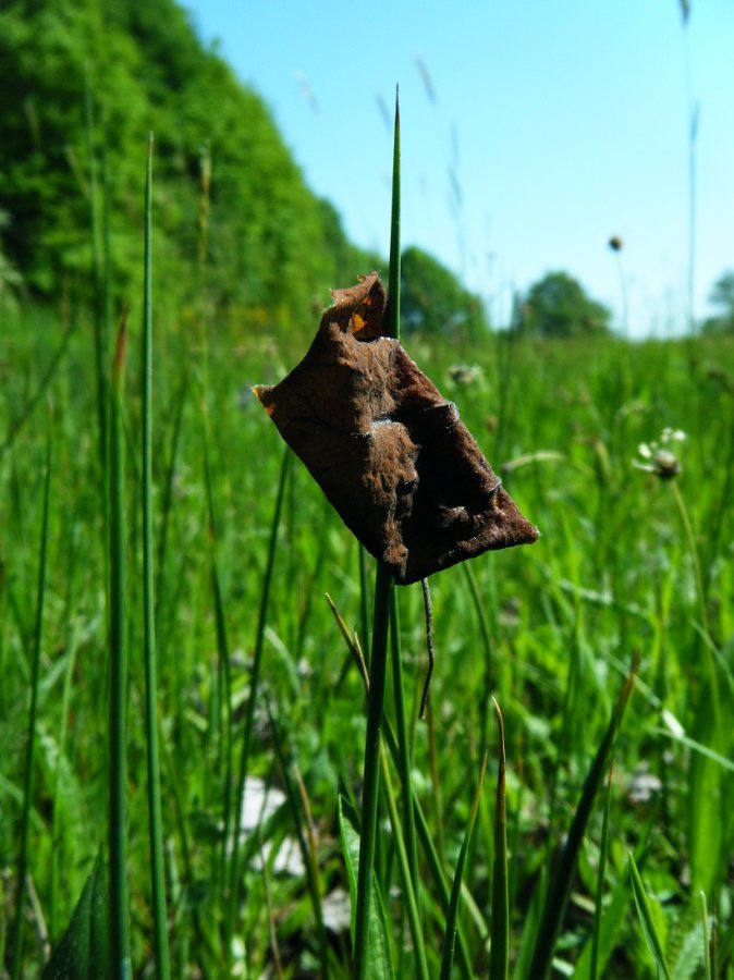 Rencontre nature! Rencontre nature!
