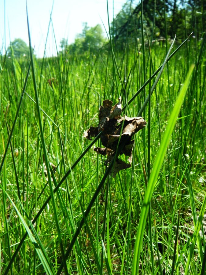 Rencontre nature Rencontre nature